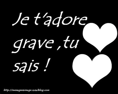 je t'adore in english